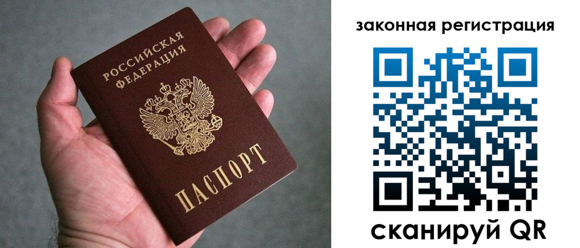 купить прописку в Коле